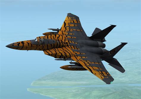 F-15 Tiger Meet